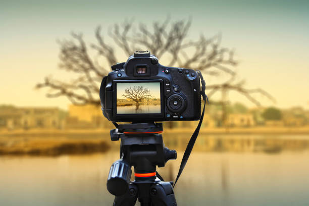 How Retail Branding & BTL Campaign Tracking Services Power OOH Advertising Success in India?